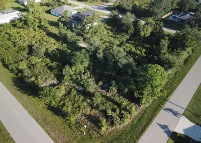 Land Clearing (1)