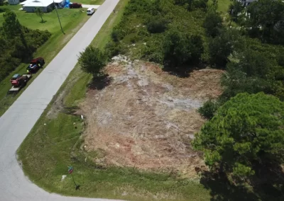 Land Clearing (3)