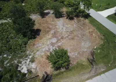 Land Clearing (5)