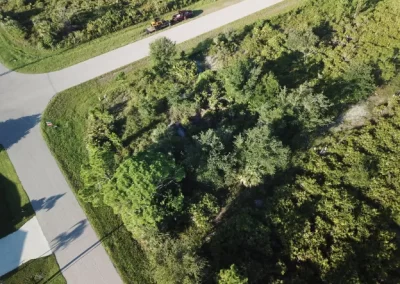 Land Clearing (6)