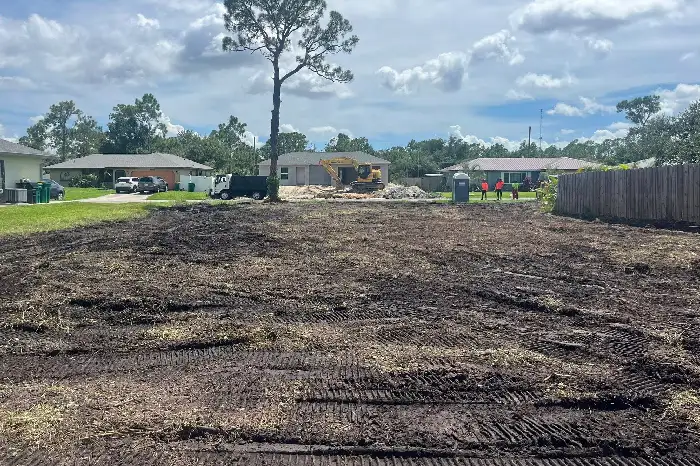 Land Clearing Land Clearing