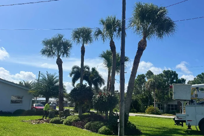 Landscape Services Landscape Services