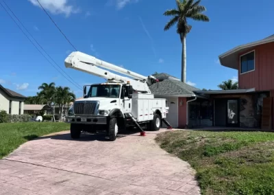 Proficient Tree Maintenance