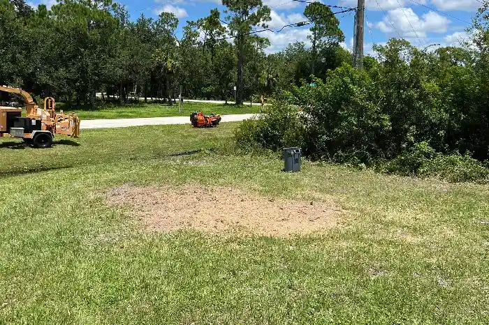 Stump Removal