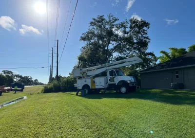 Tree Removal (4)
