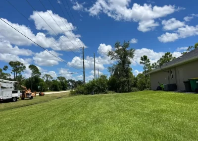 Tree Removal (5)