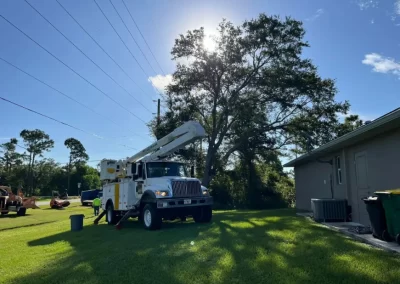 Tree Removal (6)