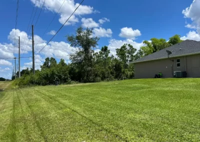Tree Removal (7)