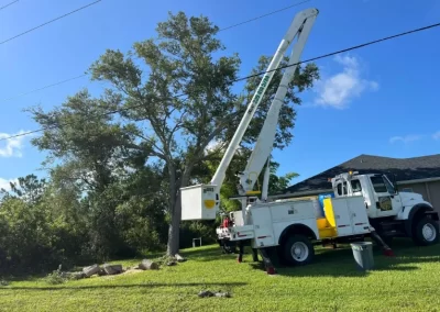 Tree Removal (8)