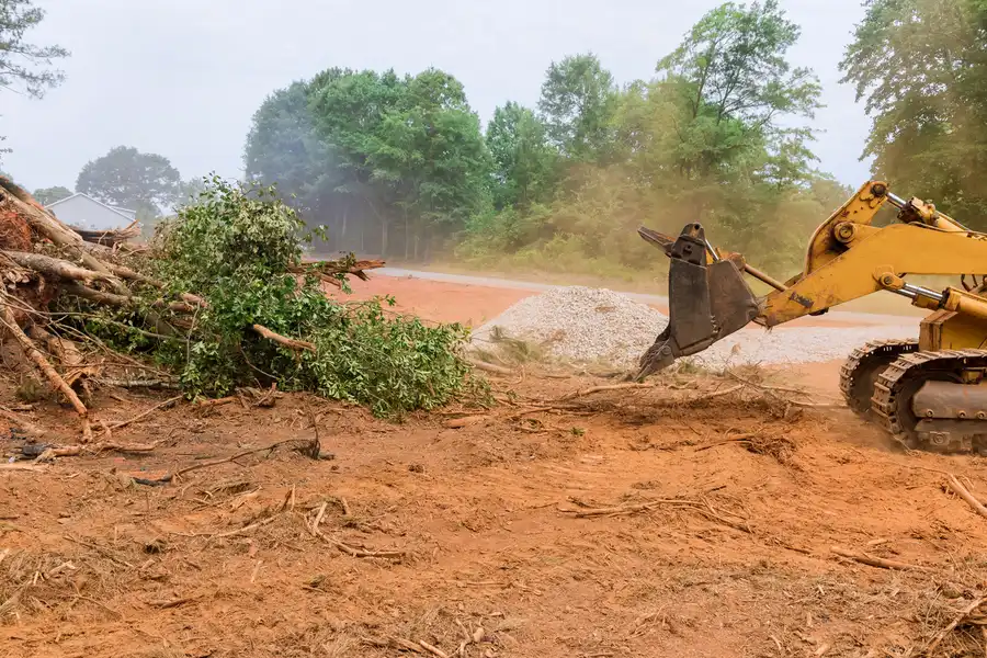 Excellent Land Clearing Cape Coral, FL
