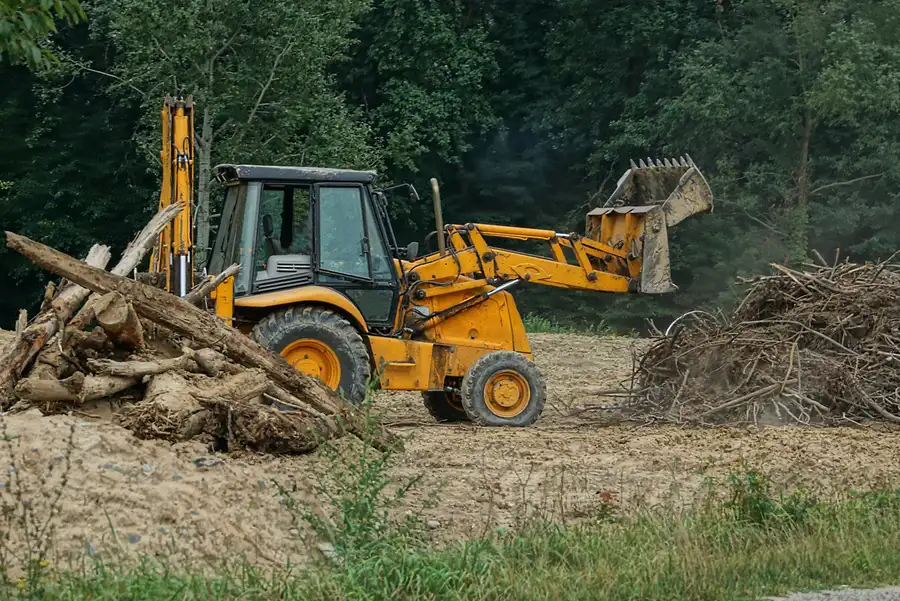 How Land Clearing Impacts The Local Environment And Ecosystem Cape Coral, FL