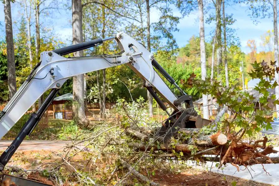 Professional Land Clearing Cape Coral, FL