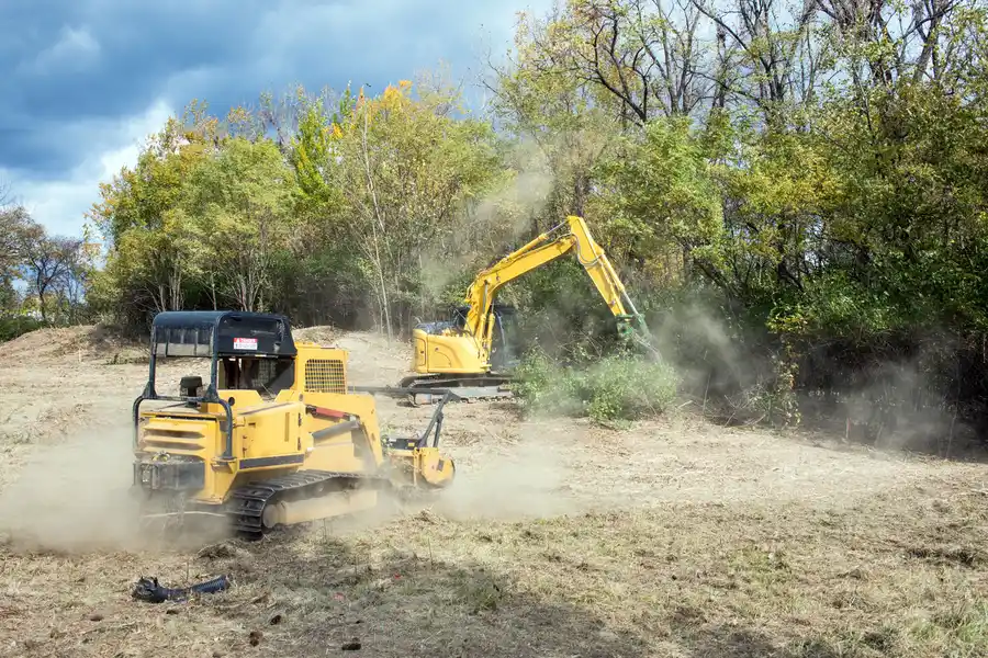 Top-rated Land Clearing Cape Coral, FL