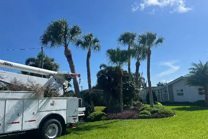 A&M Demolition and Tree Services's Other Services