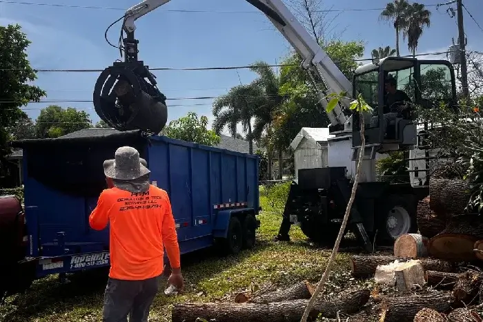 Tree Removal
