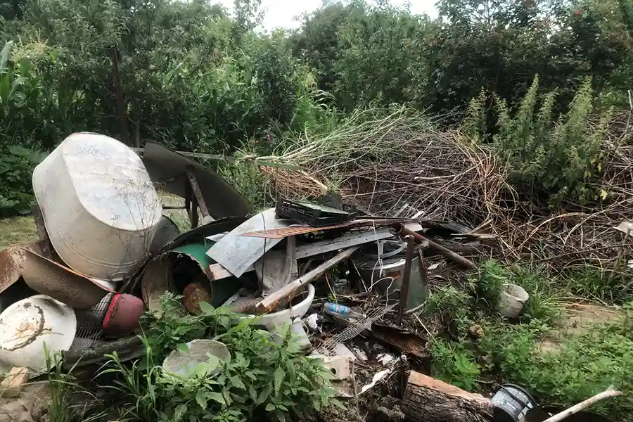 Land Clearing